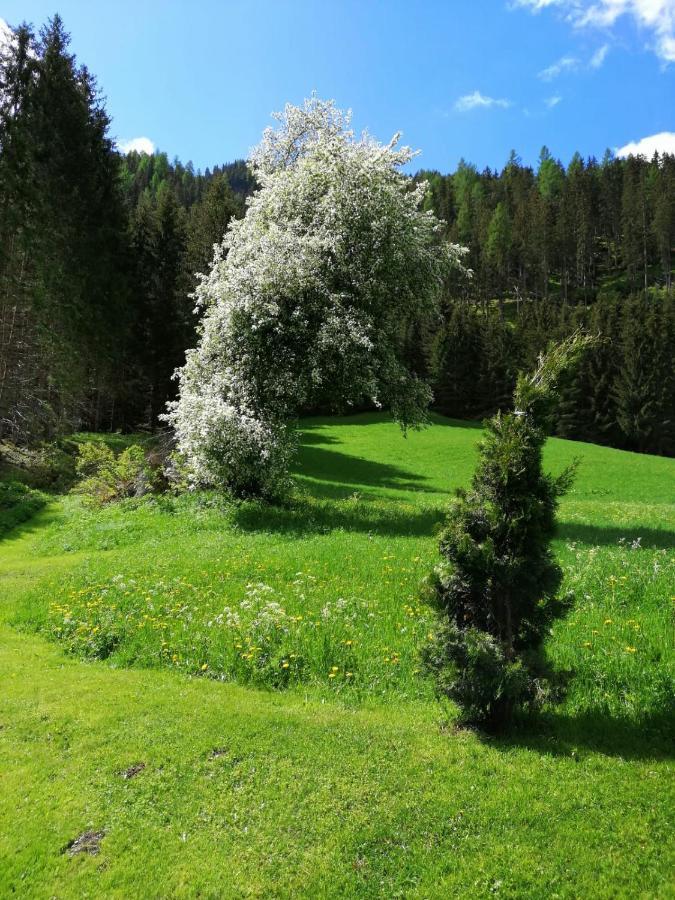 Pension Stoffler Sankt Veit in Defereggen Eksteriør billede